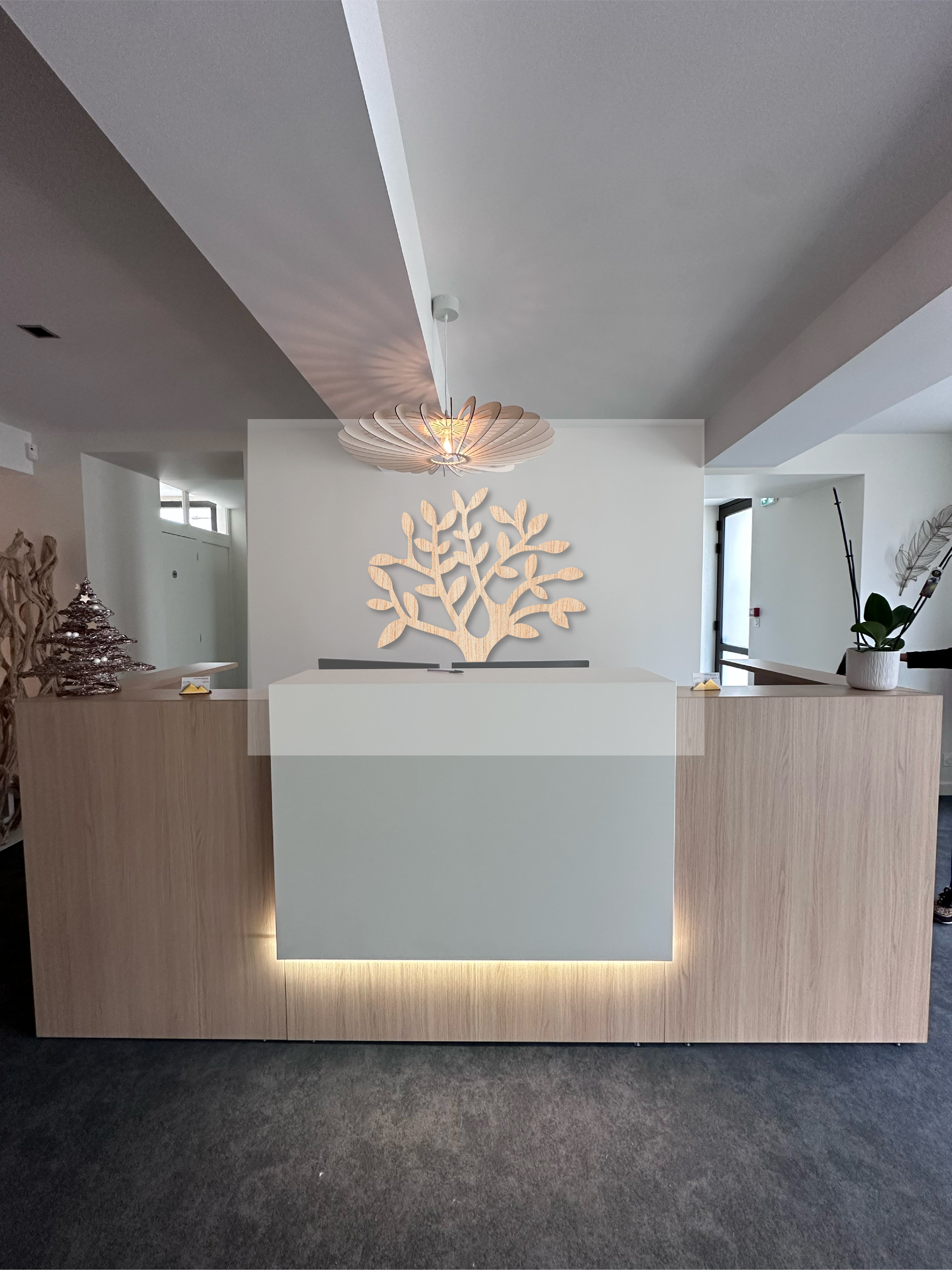 COMMANDE CABINET CLARAC - 001
